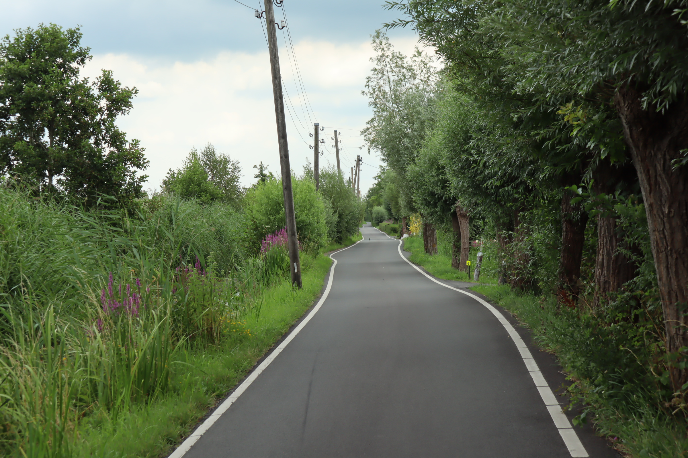 Pelgrimspad Kaart 14–15-16 – Reeuwijk naar Enkele Wiericke